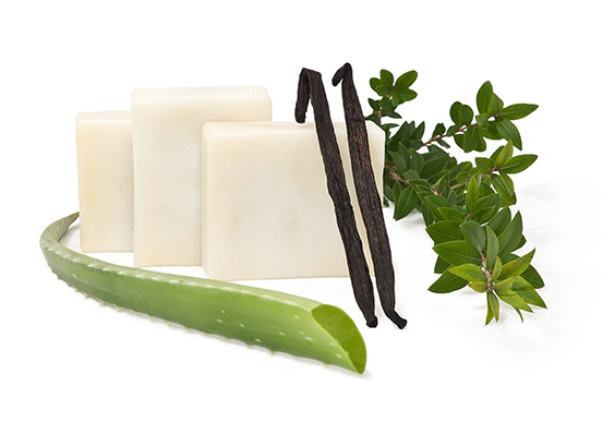 Lined soap bars, vanilla beans, myrtle branch and aloe vera leaf positioned around.
